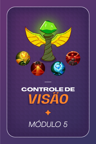 Capa__Módulo 5_Controle de visão